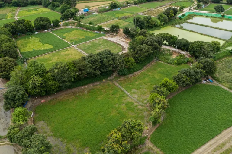 Aperçu du terrain à vendre - parcelle les cerisiers